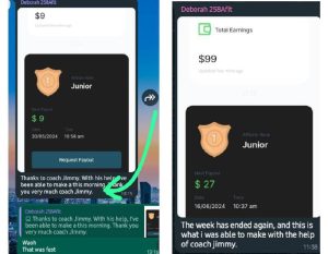 $99 WAS MADE BY ANOTHER GHANIAN IN 14-DAYS